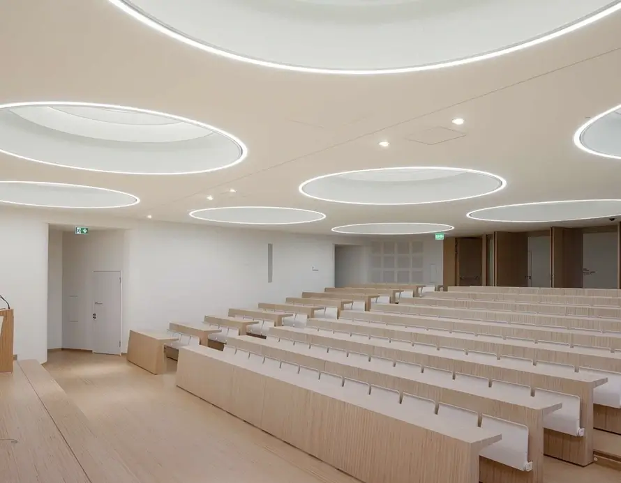 Universitet
